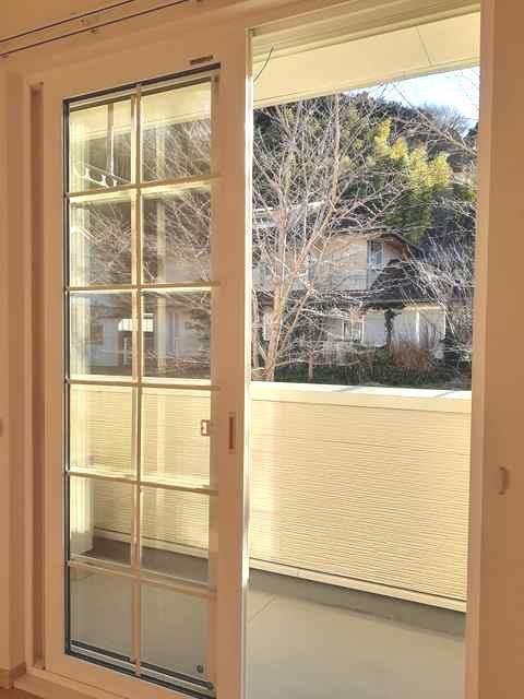 プレジャー　アイのバルコニー