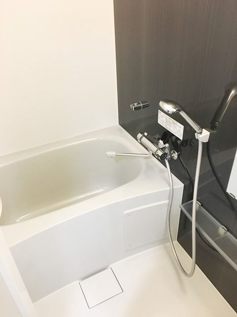 レガリス木場ステーションフロントの浴室