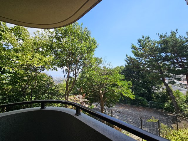 ステイツ逆瀬川・宝梅の展望