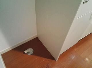 ＤＲホームズ向島の内装