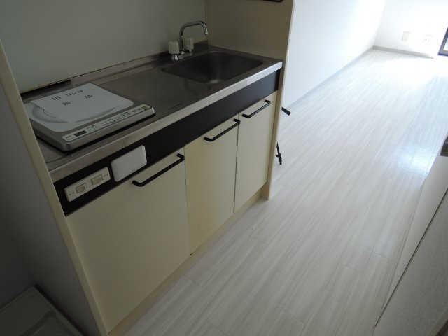 タウンコート城西のキッチン
