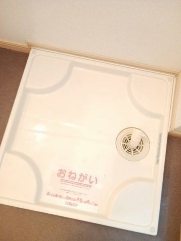 ロング　シーダー　Ｄのその他