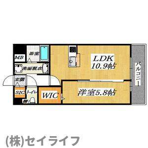 フェリシア宮町の間取り