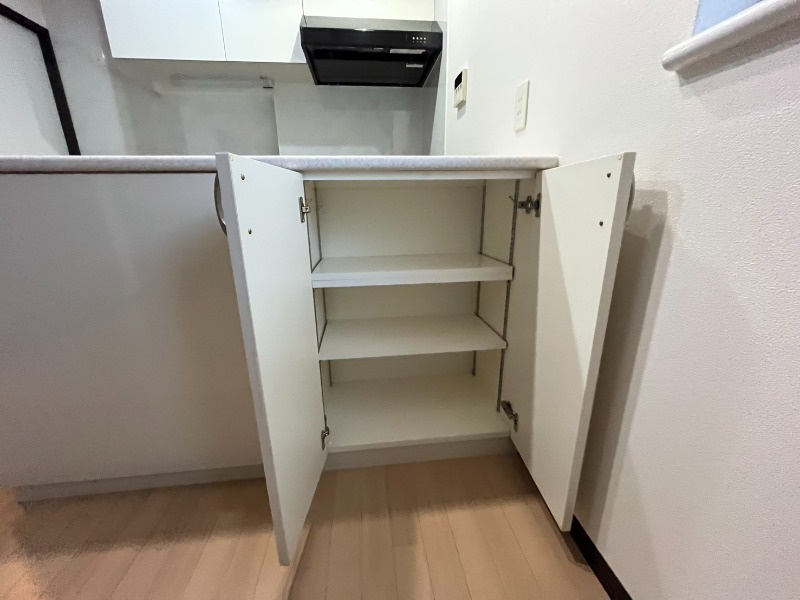 横浜市南区白妙町４丁目の賃貸マンションの収納