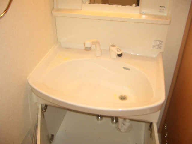 ルーセントオーデン難波の独立洗面台