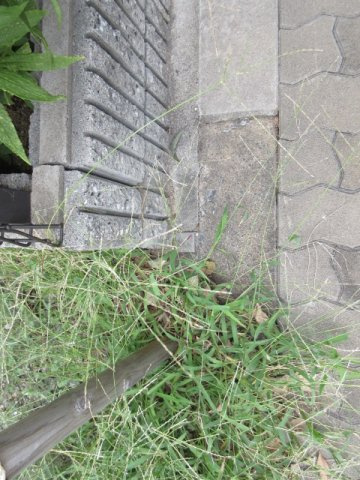 大阪市淀川区塚本３丁目の売地