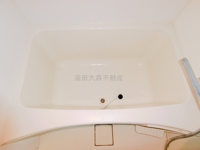 レアライズ蒲田の浴室
