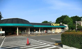 いなげや相模原下九沢店まで800m