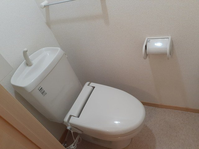 サンリット　カニラＡのトイレ|シンプルで使いやすいトイレです