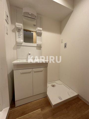 スペランツァⅡ都島の洗面所