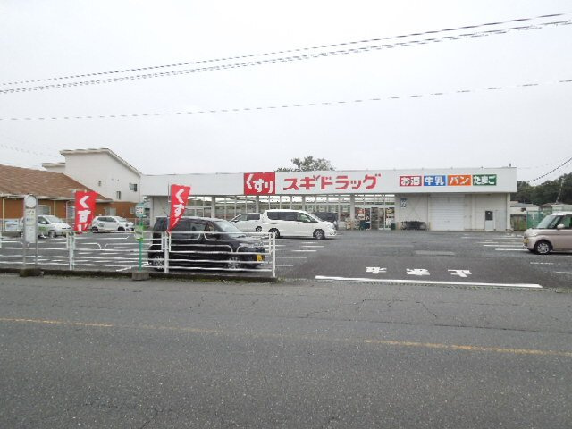 ヒカルサ上尾上イーストの周辺|スギドラッグ 上尾上店まで700m