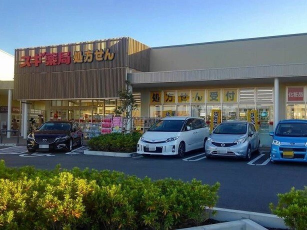 ヒカルサ上尾上ウエストの周辺|フレスポ桶川店スギドラッグまで400m