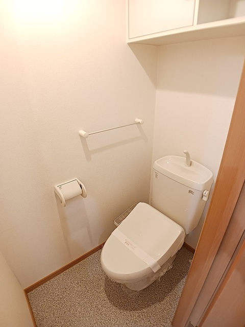 イリーデのトイレ
