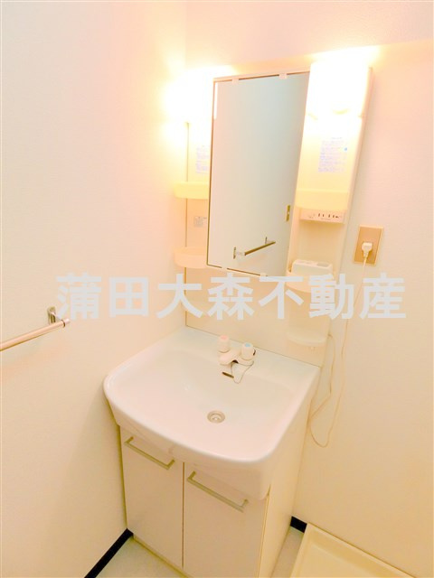 音金六郷マンションの洗面所