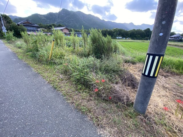 丹波市春日町国領の中古一戸建のその他|1181（農地）
