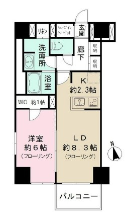 カメリアコート 新宿の間取り