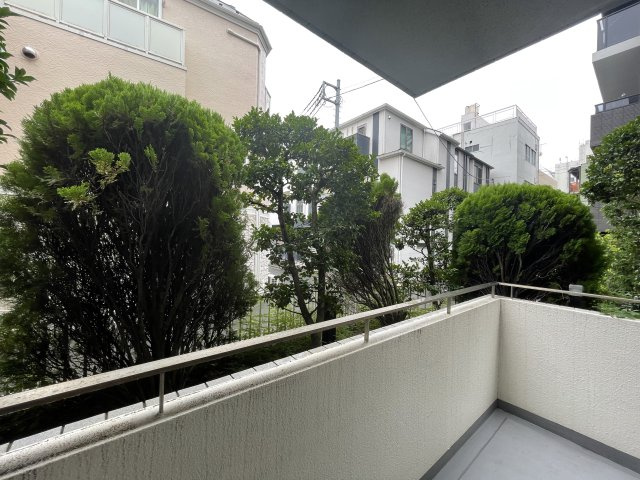 【展望】