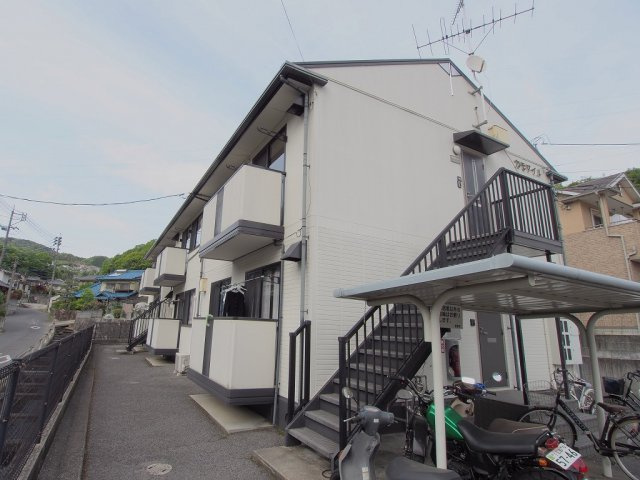 カモマイルの外観