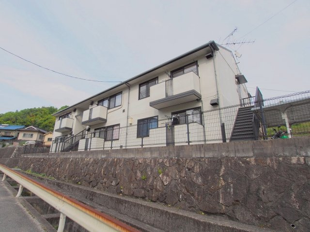 カモマイル