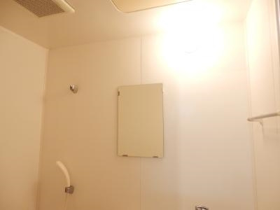 サンシャイン西院の洗面所