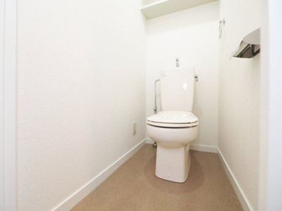 【トイレ】 | 大国町青山ビル別館 | 落ち着いた色調のトイレです