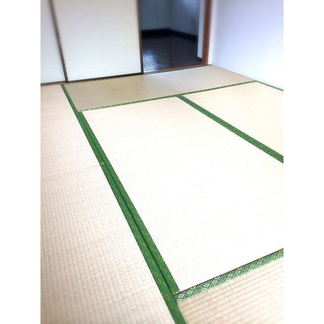 アヌシーパルの和室