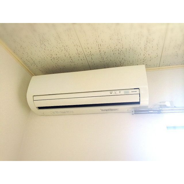 アヌシーパルの寝室