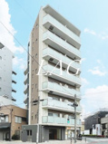 Ｆｉｅｒ　ｄｅ　Ｓｈａｌｏｍの画像