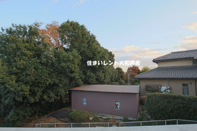 ベルテックスの展望