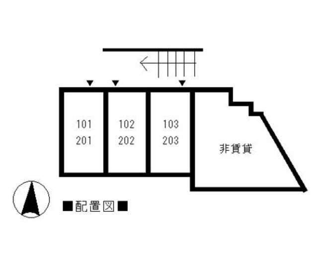 アコルトのその他