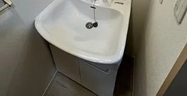 シャーメゾン赤羽の洗面所