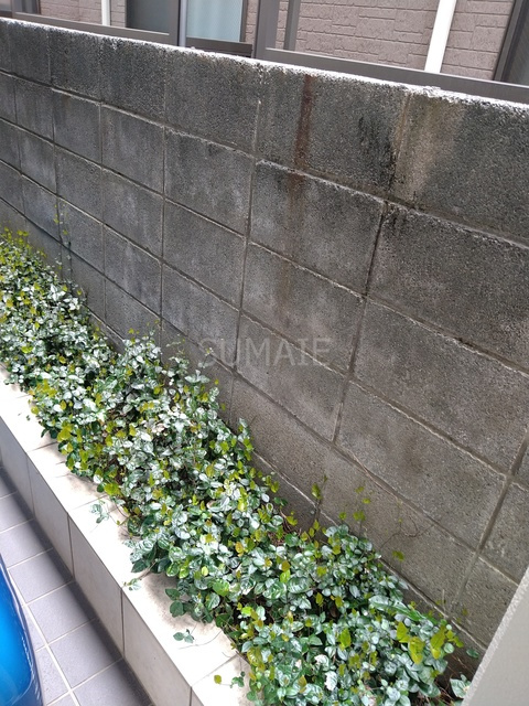 ネオルピエのその他|植栽☆