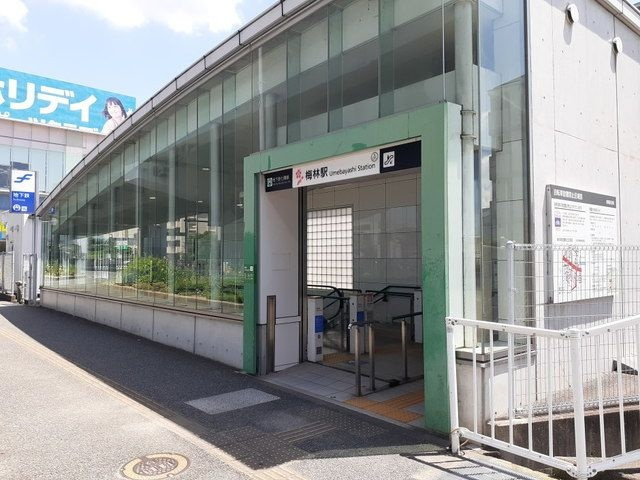 ストークワコー　ピュアの周辺