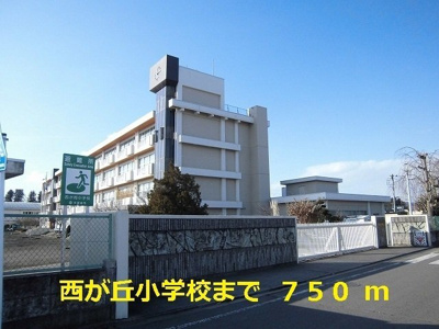 【周辺】 | ニューエルディム小堀 | 西が丘小学校まで750m