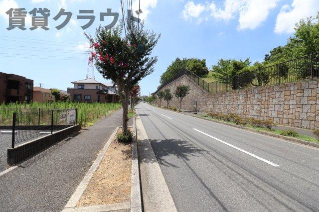 スカイクルーズの周辺