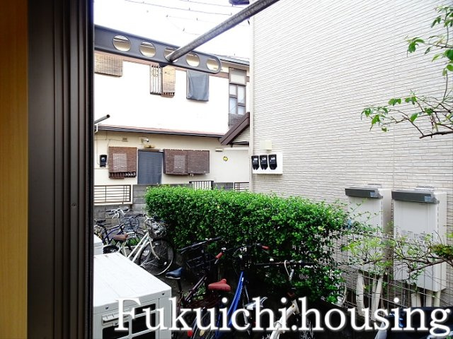 パインコートの展望
