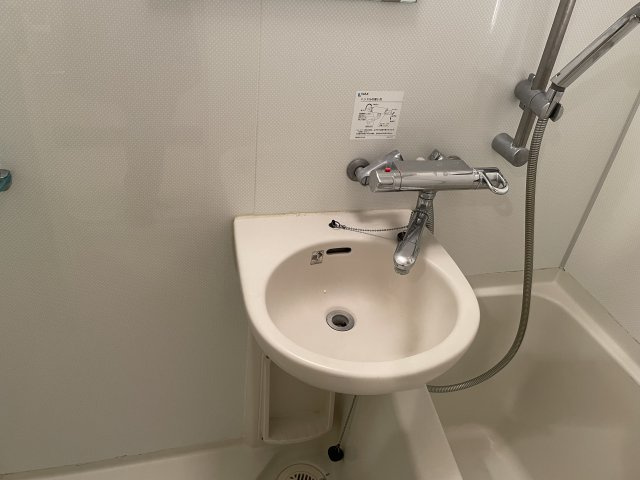 グロースメゾン亀戸の洗面所