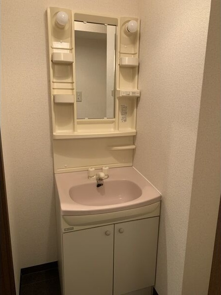 ハースヒルズの洗面所