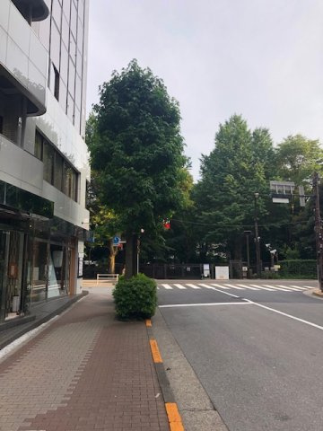 シガラキビルの周辺