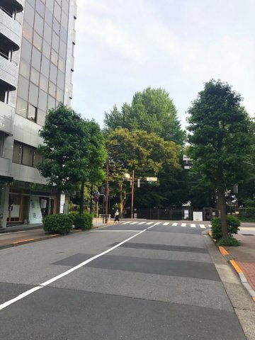 シガラキビルの周辺