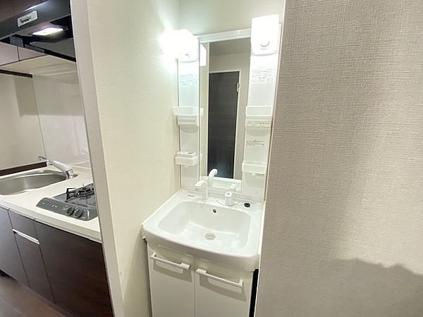 レガリス門前仲町の洗面所