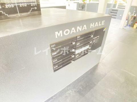 MOANA HALEのその他