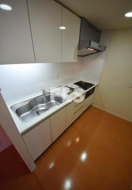 文京区湯島３丁目の賃貸マンションのキッチン