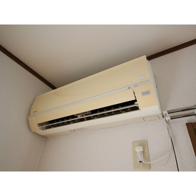 アムール ユミットのその他