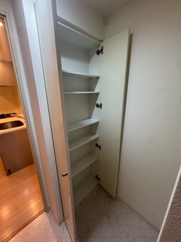 名古屋市千種区千種２丁目の賃貸マンションの収納