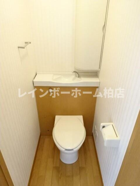 特典：仲介手数料が無料です!!のトイレ|落ち着いたトイレです