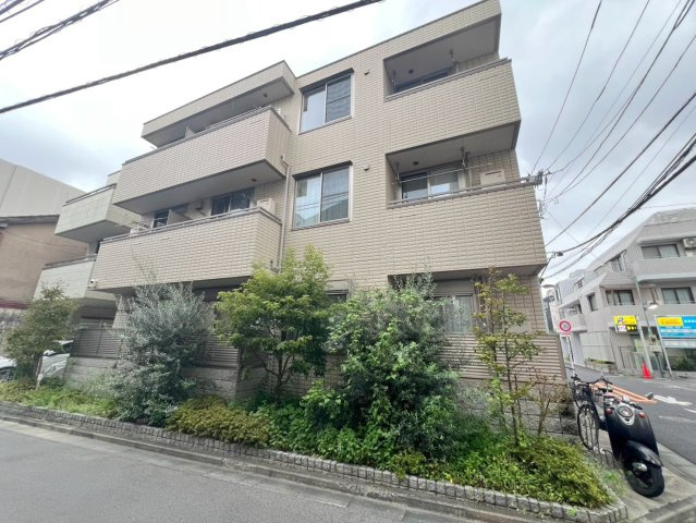 ステラ本郷