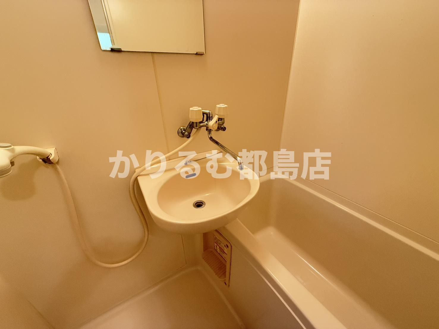 リバティ内代の洗面所