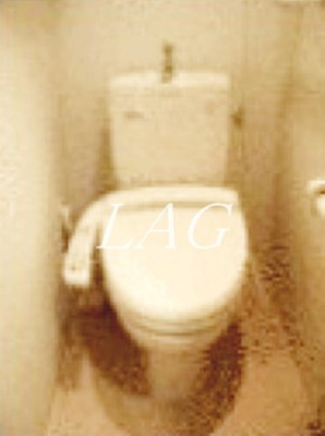 【トイレ】 | シェーンバウム | トイレです。