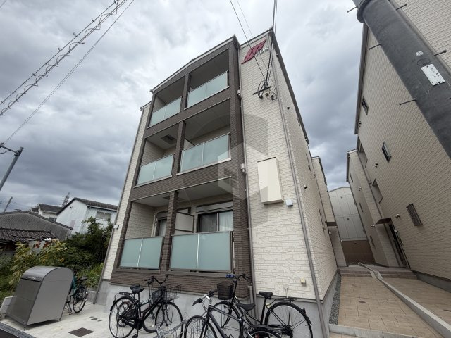 F asecia cerの外観